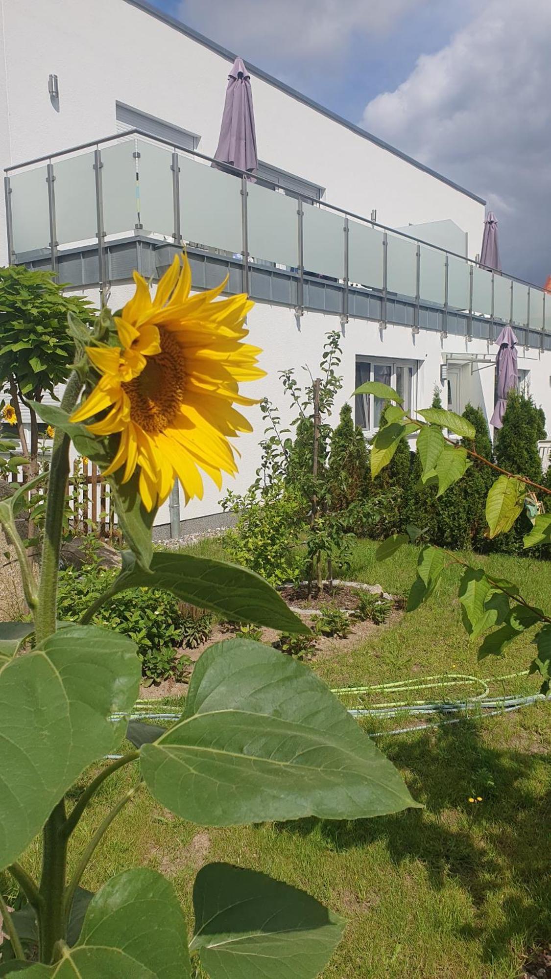 Ferienwohnungen "Godewind", Appartements Mit Balkon Oder Terrasse Zinnowitz Exterior foto